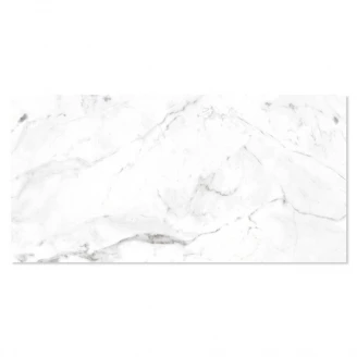 Marmor Klinker Marble Hvid Mat 60x120 cm-2